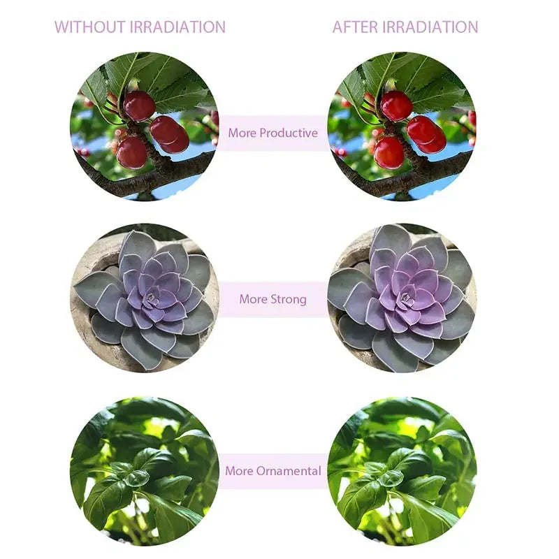 LED Grow Light USB - Stone Elite Collections