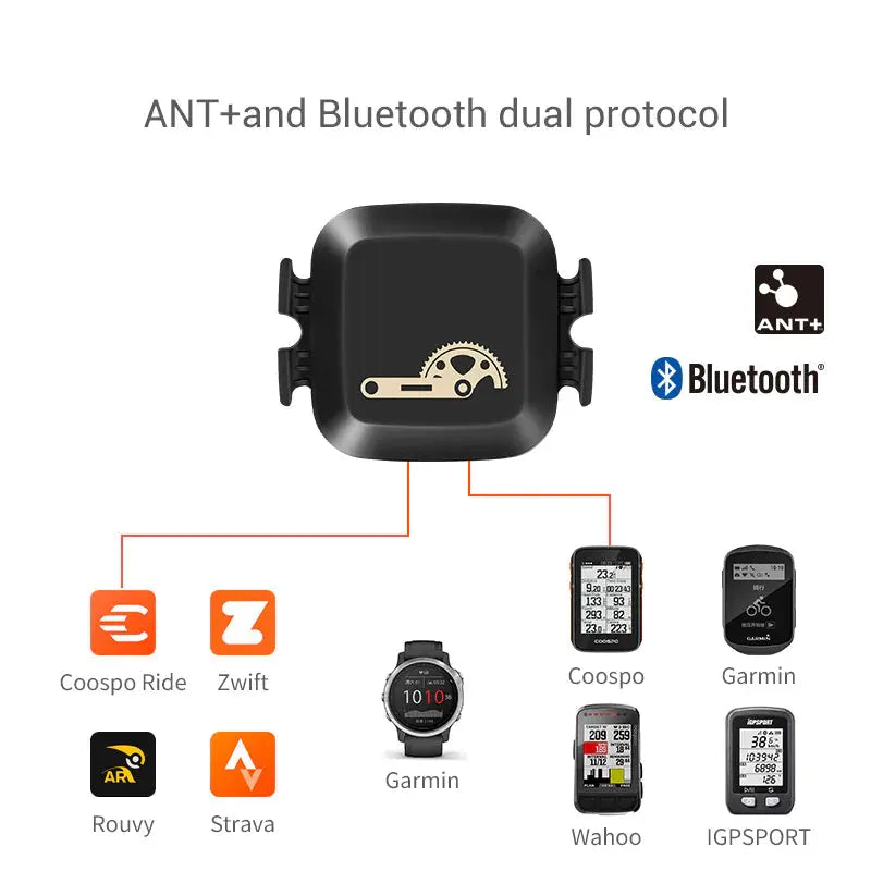 Armband Heart Rate Monitor - Stone Elite Collections